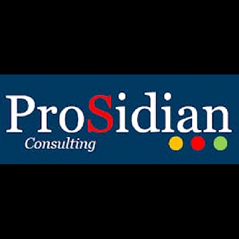 ProSidian Consulting logo